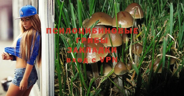 шишки Осташков