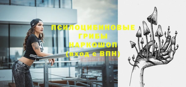 таблы Заводоуковск