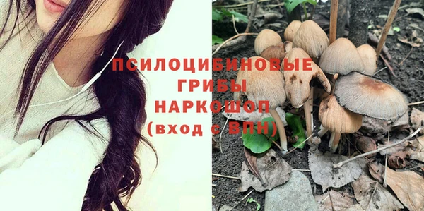 прущая мука Ельня