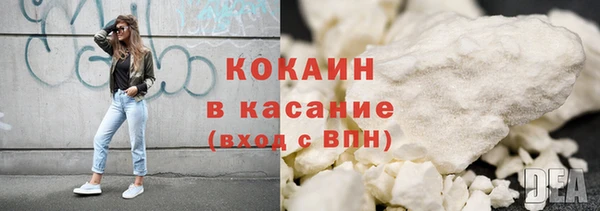 прущие грибы Заволжье