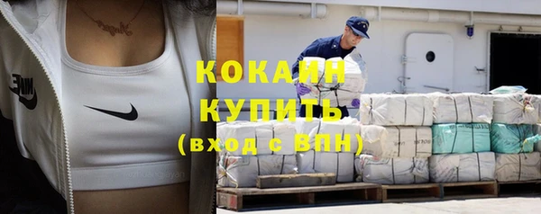 прущие грибы Заволжье