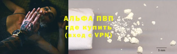 шишки Осташков
