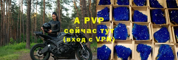 прущие грибы Заволжье