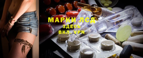 шишки Осташков